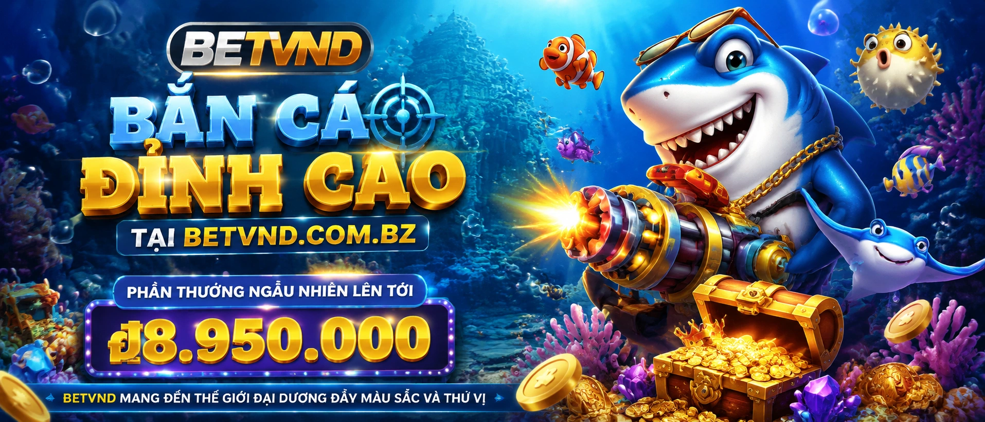 betvnd.com.bz banca support