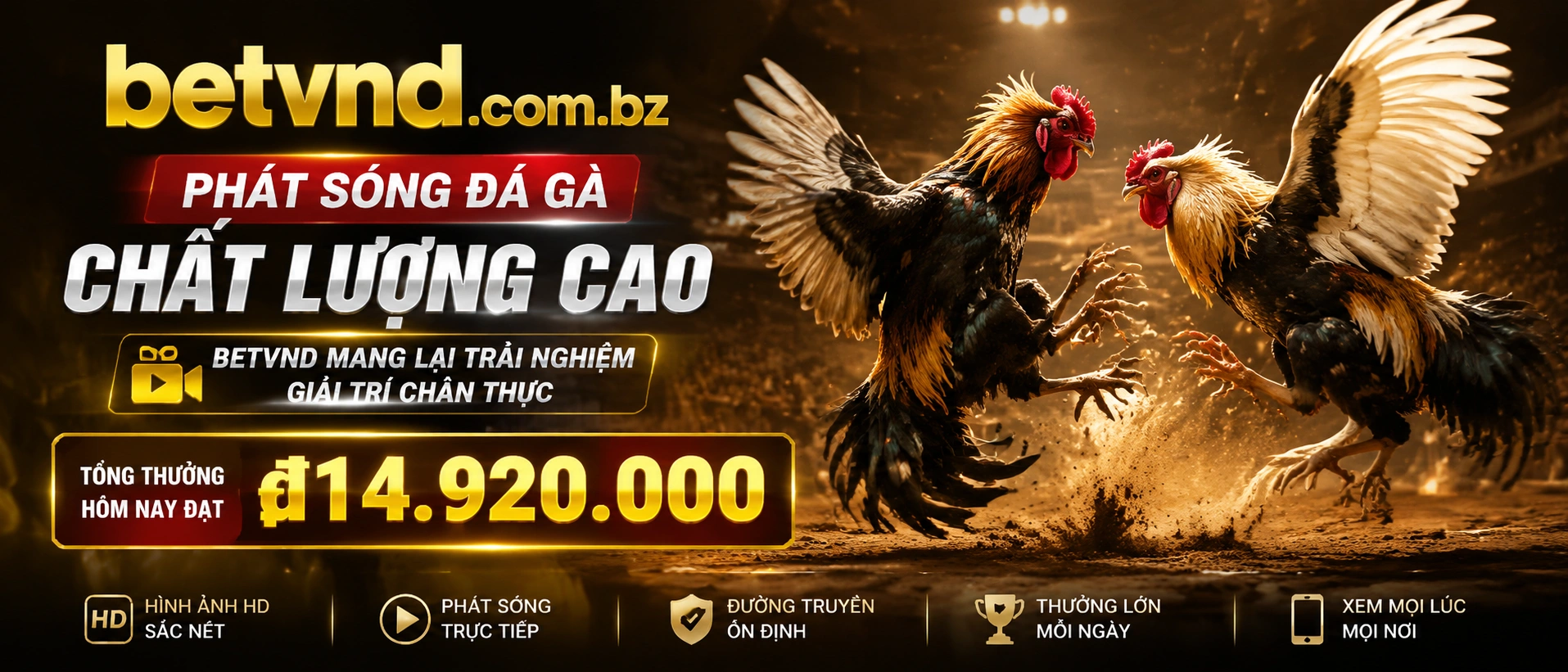 Đá Gà trực tiếp trên giao diện mobile của betvnd.com.bz