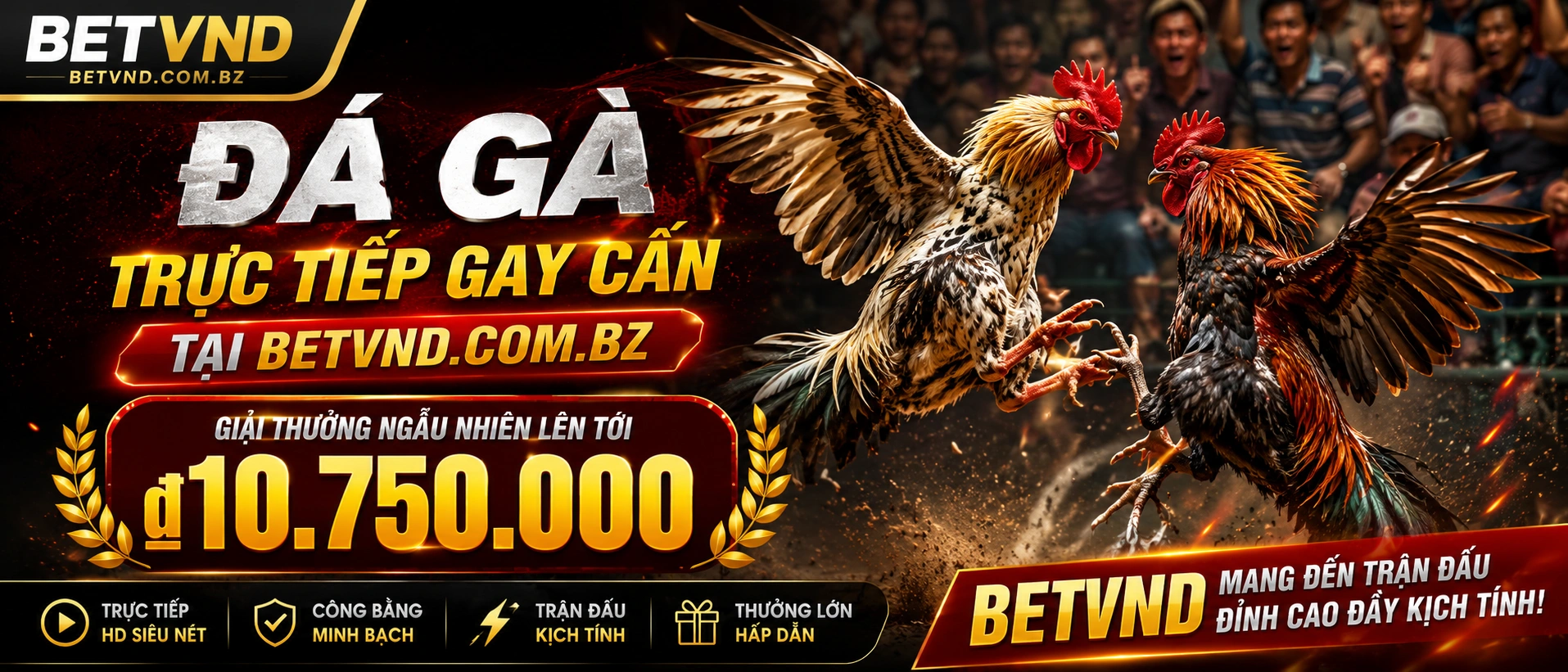 Danh mục Đá Gà Campuchia trên betvnd.com.bz