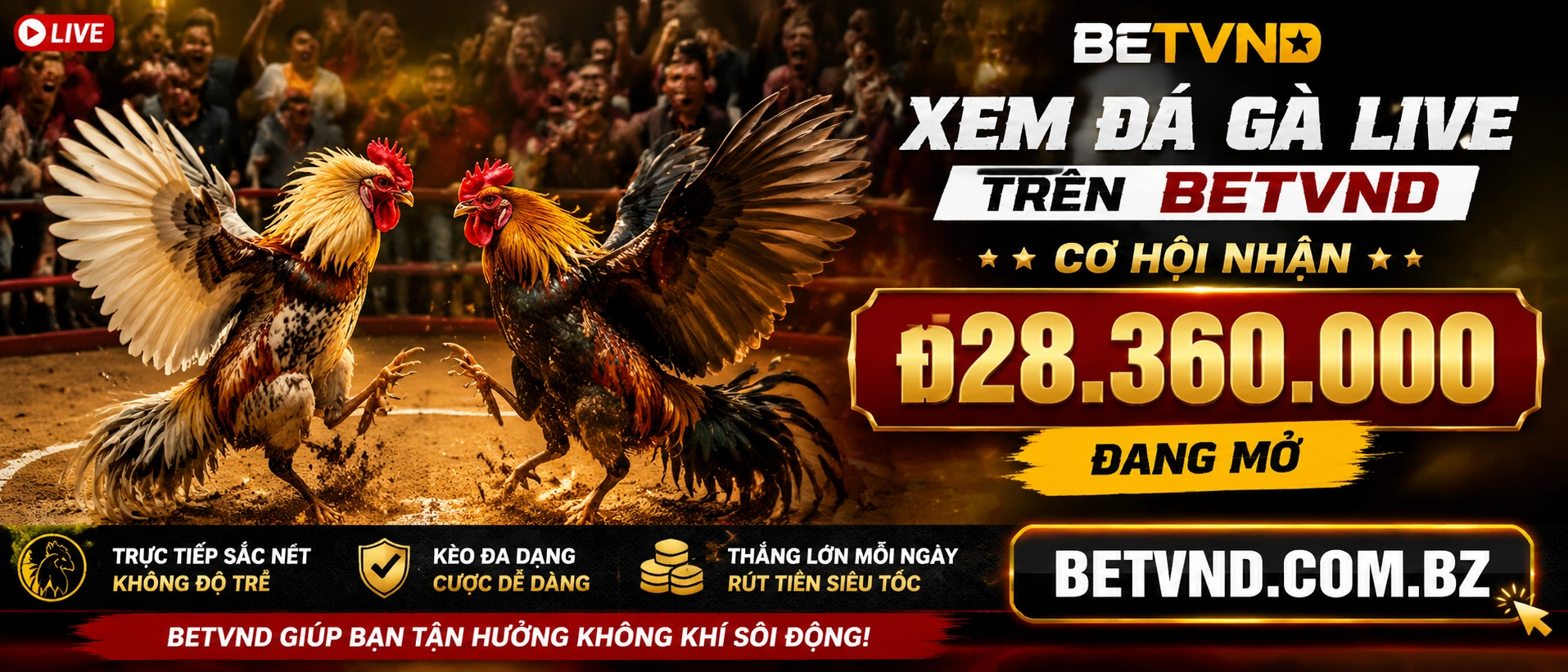 Trải nghiệm Đá Gà trên mobile web của betvnd.com.bz